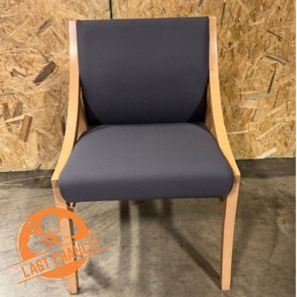 National Davari Guest Chair